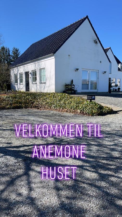 Anemone Huset Apartment Vorbasse Exterior photo